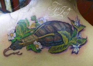 Sacred Turtle Rattle with tobacco and strawberries