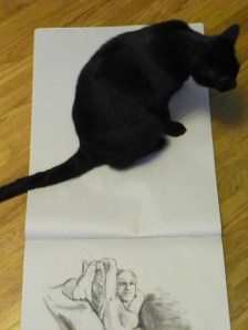 Loki - Photography Assistant