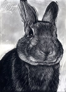 Scratchboard Rabbit