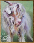 goat oil painting