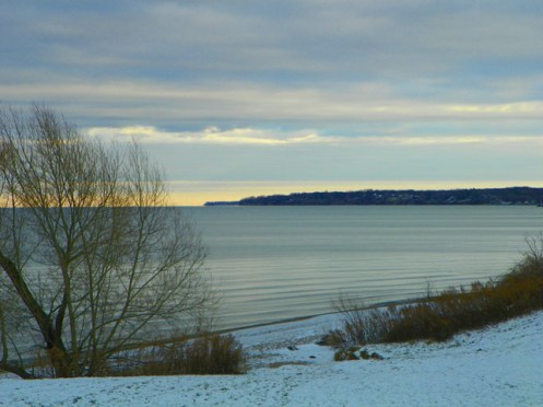 shoreline in winter