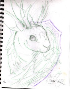 jackalope sketch