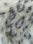 snow leopard fur