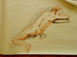 figure drawing male back