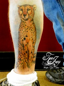 Healed Cheetah tattoo