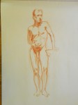 figure drawing male