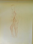 figure drawing female