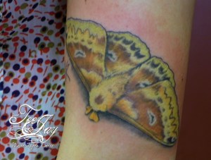 moth tattoo