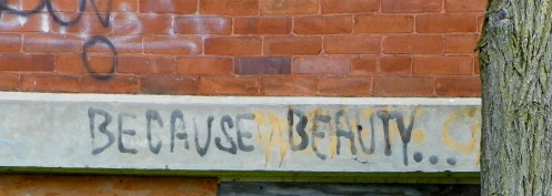 Because Beauty...
