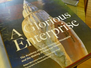 A Glorious Enterprise