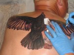 crow tattoo in progress