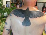 crow tattoo