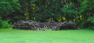 People Size Bird Nest