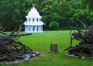 Bird house from inside bird nest