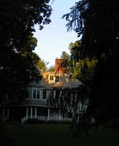 back of building COSM