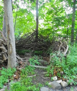 People size Birds Nest