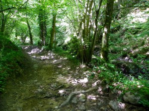 path through Vallee du Madet
