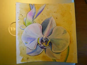 Orchid watercolor