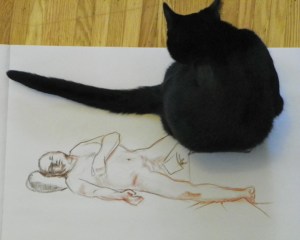 figure drawing plus helper cat
