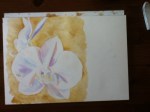 orchid watercolor in progress