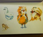 watercolor sketch of chickens