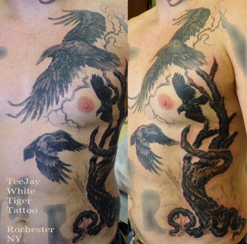 Jake101_1550 Jake's tree tattoo on ribs