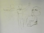 gesture drawings male