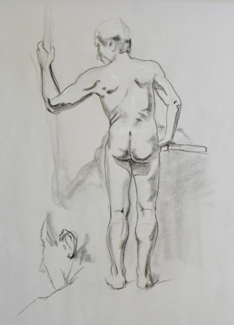 male back figure drawing