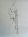 figure drawing female