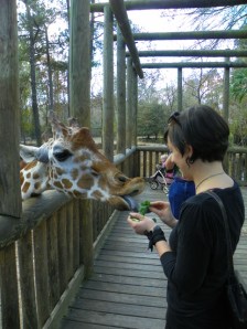 101_2056feedingthegiraffe