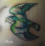 peridotsparrowhawk101_2465