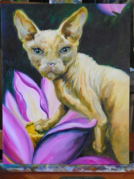 sphinx cat painting in progress