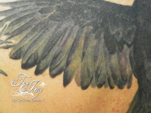 crow tattoo wing detail