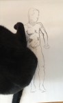 figure drawing