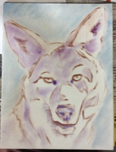 coyote painting in progress