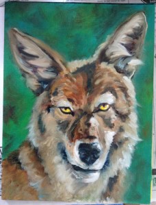 coyote painting in progress