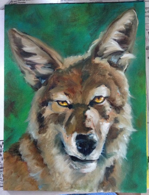 coyote oil painting