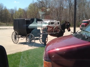 horse and buggy