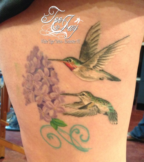 Healed Hummingbird Tattoo