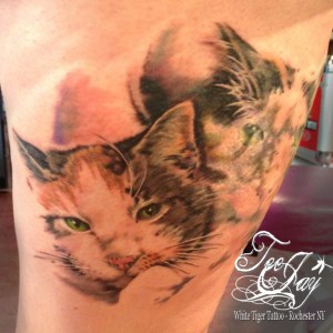 cat portrait tattoo - double exposed