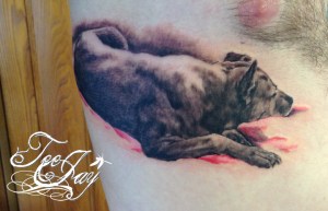 Hady portrait tattoo dog
