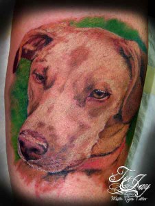 color dog portrait tattoo