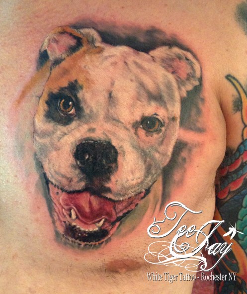 bulldog tattoo