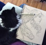 Cat helping with drawing