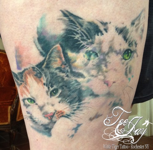 double exposed kitty tattoo