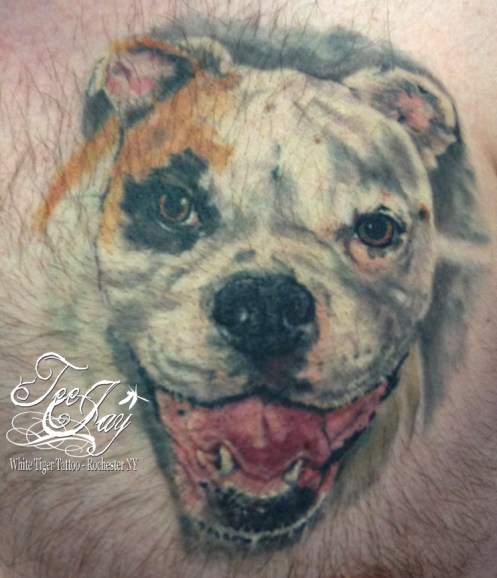 Healed dog portrait tattoo