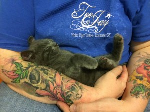 sleeping kitty in tattoo arms