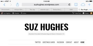 Suz Hughes Blog