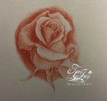 rose drawing