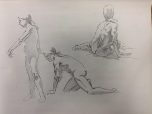 figureIMG_1379